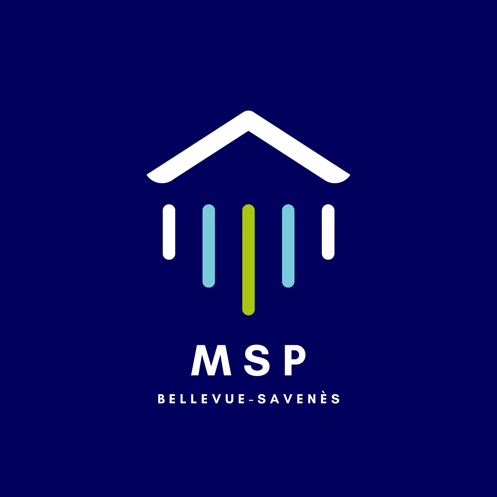 logo msp savenès